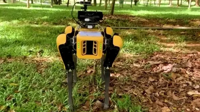 Singapura Kini Punya Anjing Robot yang Paksa Orang Jaga Jarak
