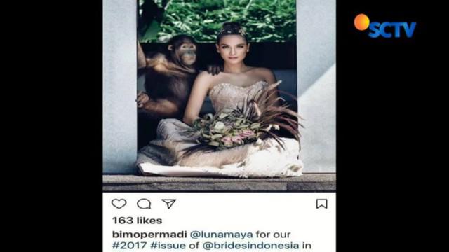 Borneo Orangutan Survival Foundition (BOSF) menyayangkan tindakan Luna Maya yang tak mengetahui perlindungan satwa liar.