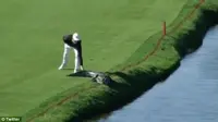 Pegolf Texas Usir Aligator dengan Sekali Sentuh
