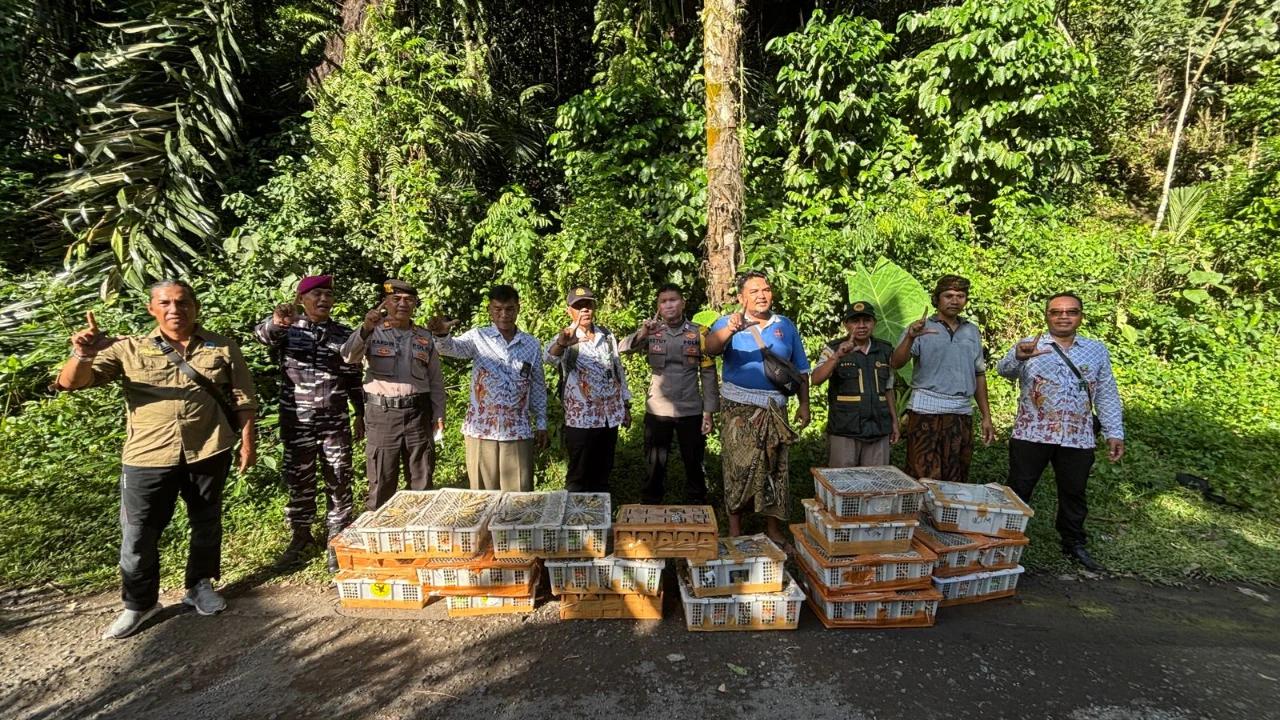 1.756 Burung Kicau yang Diselundupkan ke Bali Berhasil Digagalkan, Begini Kronologinya