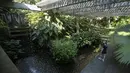 Seorang pengunjung berjalan di taman selama tur ke situs Roberto Burle Marx, yang masuk kedalam daftar situs warisan dunia UNESCO, di Rio de Janeiro, Brasil, pada 27 Juli 2021. Lokasi ini dianggap sebagai laboratorium untuk eksperimen botani dan lanskap. (AP Photo/Mario Lobao)