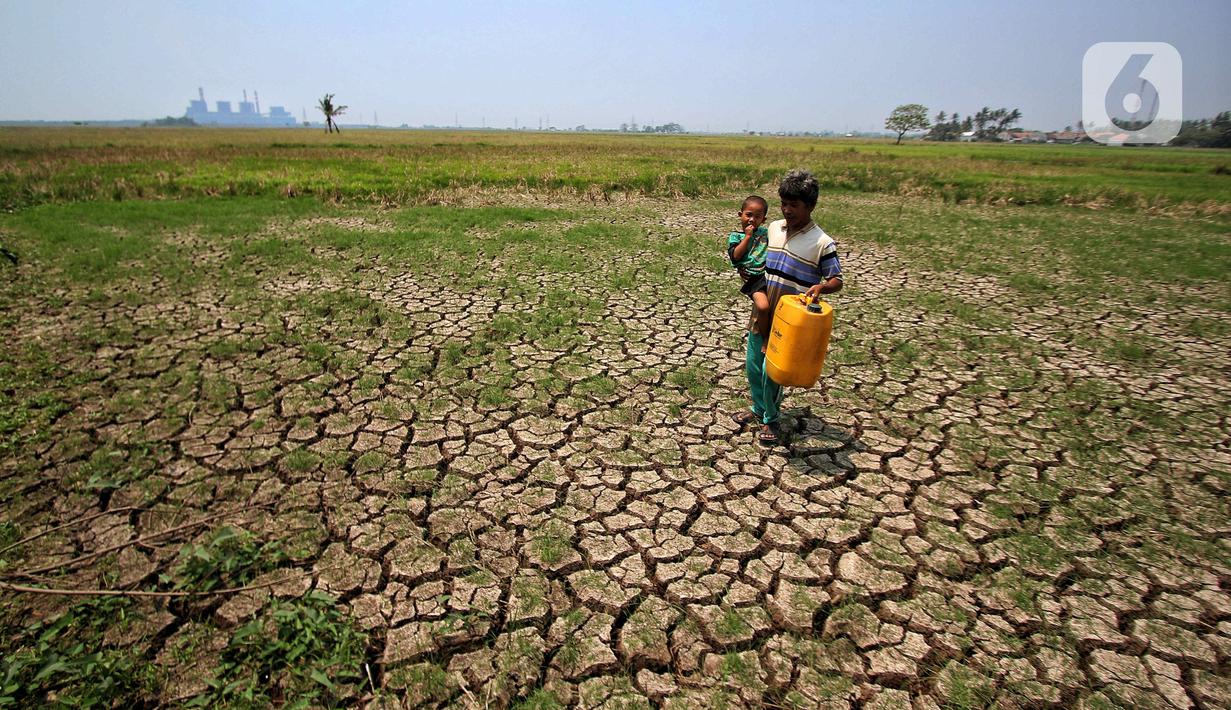 Dan puncak musim kemarau 2023 terjadi sekitar Agustus hingga September. (Liputan6.com/Angga Yuniar)