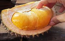 Lagi Musim! Begini Cara Pilih Buah Durian yang Matang dan Manis