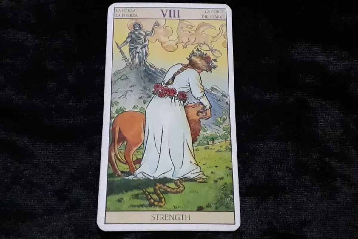Tarot
