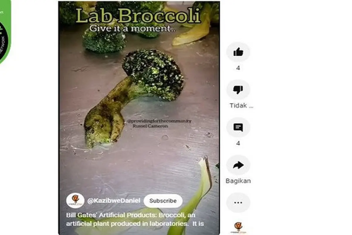Beredar video yang diklaim brokoli hasil produksi laboratorium Bill Gates. (sumber: YouTube)