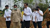 Menteri Pertanian (Mentan) Syahrul Yasin Limpo bersama Presiden Jokowi dan Menteri Kabinet Indonesia Maju saat meninjau pengembangan program food estate di Kalimantan Selatan.