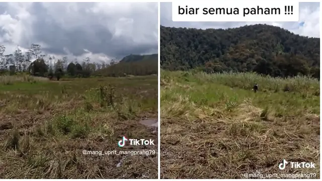 Viral Komunitas Motor Trail Rusak Bunga Edelweis Rawa di Ranca Upas, Bikin Miris