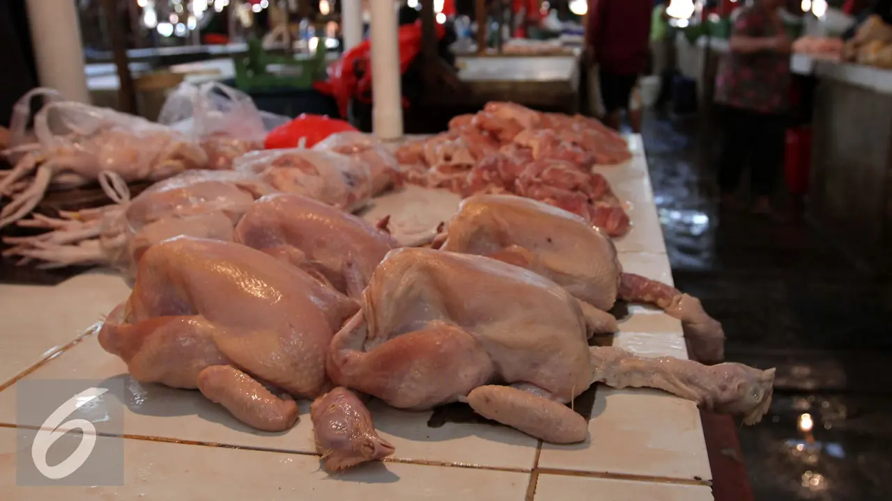 Ayam potong 