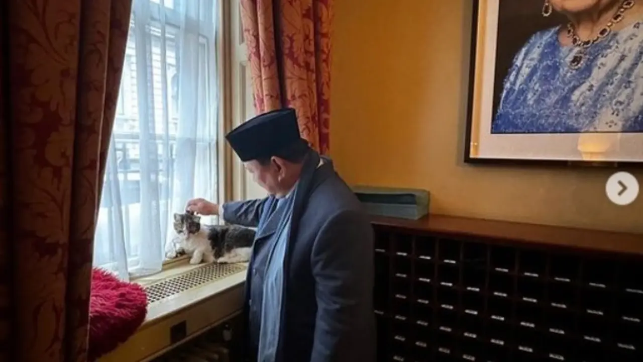 Prabowo Elus Kucing Penghuni Setia Kantor PM Inggris, Disebut Kangen Bobby Kertanegara