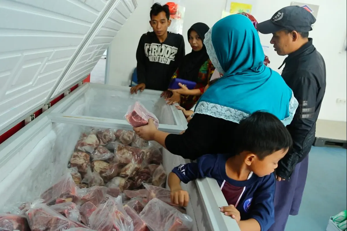 Daging beku