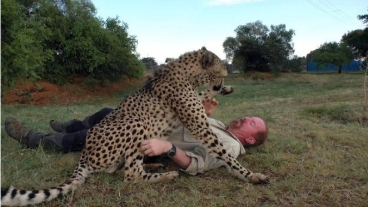 Dolph bersama sahabat Cheetahnya Gabriel (Image: Dolph C. Volker / Barcroft Images)