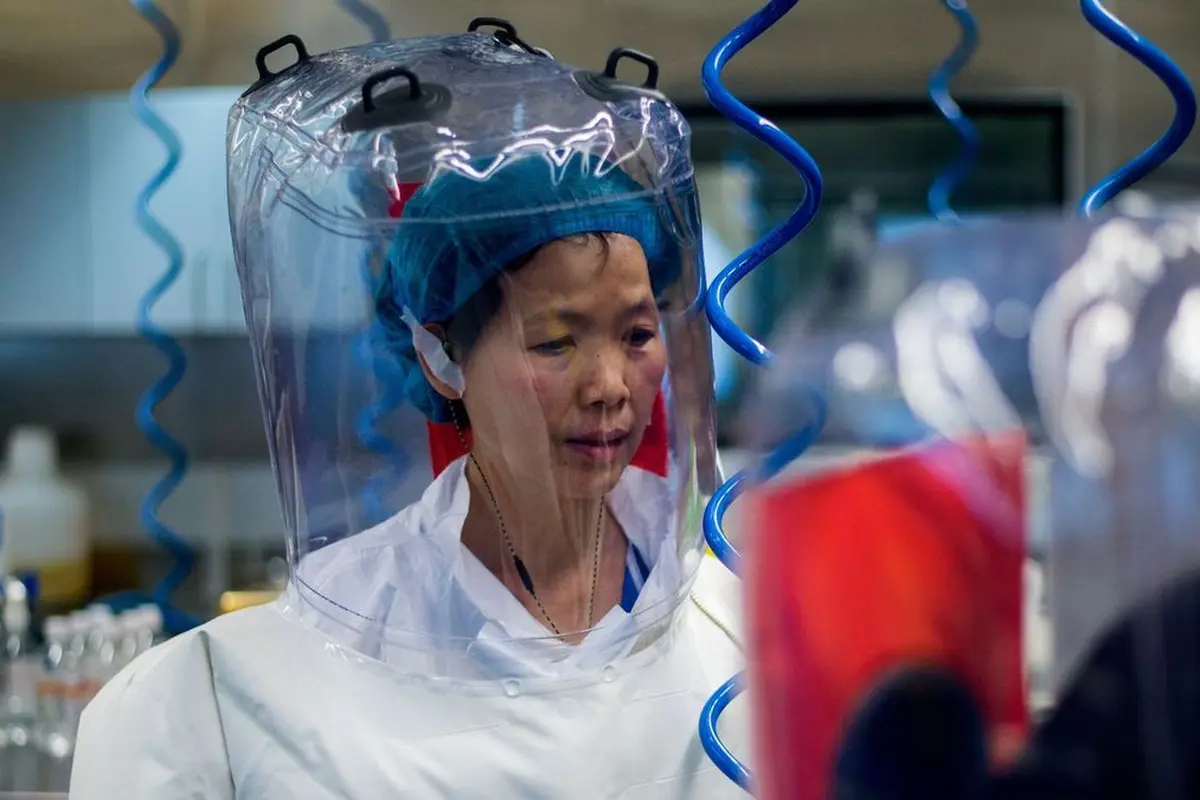 Ahli virologi China Shi Zhengli di dalam laboratorium P4 di Wuhan (Gambar: AFP melalui Getty Images)