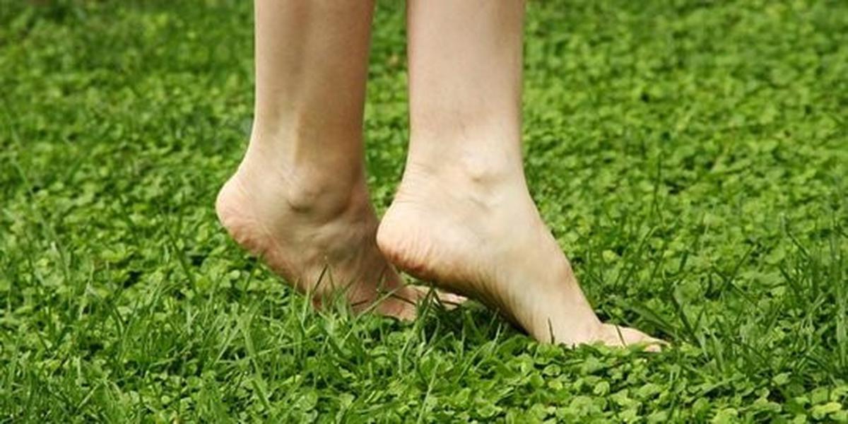 Kaki kering