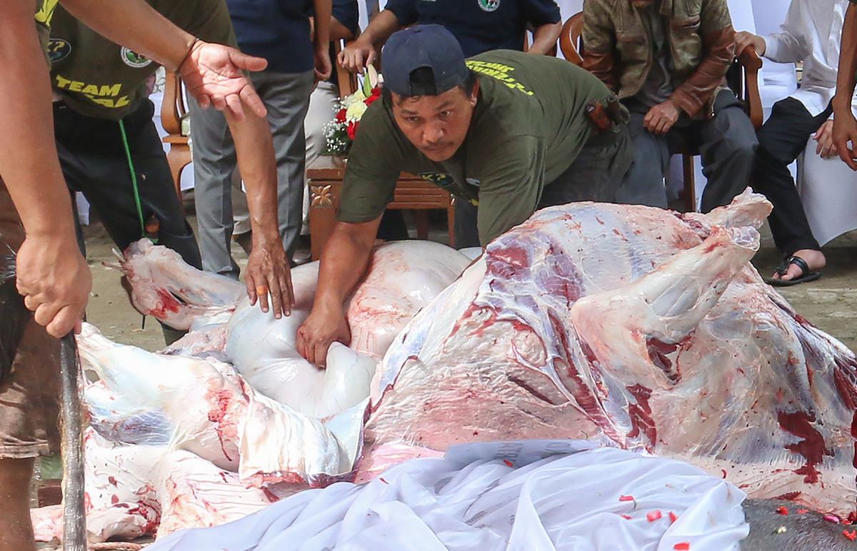FOTO: Menghidupkan kembali Tradisi Andilan Potong Kebo di Jakarta