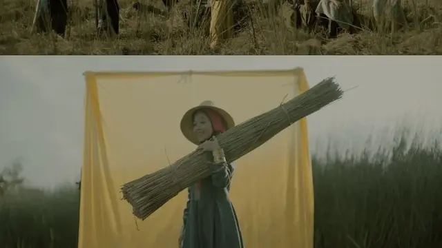 Latar Belakang Lahan Gambut dala Film Purun