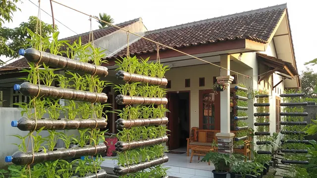 Inspirasi Kebun Kangkung Bertingkat untuk Panen Cepat di Halaman Rumah Kecil