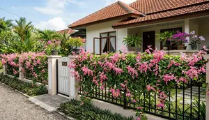 7 Ide Pagar Rumah dengan Bunga Air Mata Pengantin yang Cantik dan Estetik