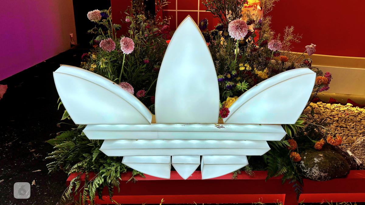 Toko Adidas Diklaim Kena Ledakan Bom Perang Iran vs Israel dan AS