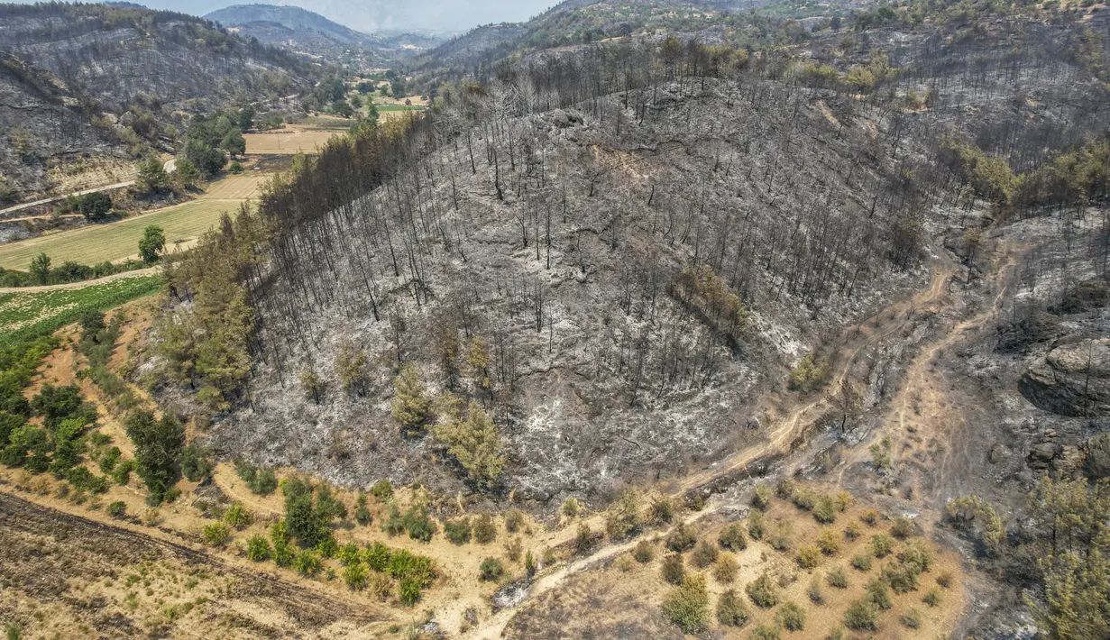 Foto udara menunjukkan kerusakan usai kebakaran hutan di dekat kota pesisir Mediterania Manavgat, Antalya, Turki, Jumat (30/7/2021). Petugas terus melakukan pemaadaman kobaran api yang membakar rumah dan memaksa orang untuk mengungsi dari pemukiman dan resor pantai. (AP Photo)