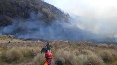 Titik Awal di Blok Bantengan, TNBTS Ungkap Dugaan Pemicu Kebakaran Bromo