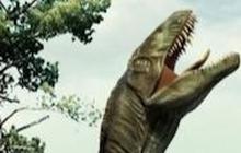 Dari Mana Minyak Bumi Berasal? Jawabannya Bukan dari Fosil Dinosaurus