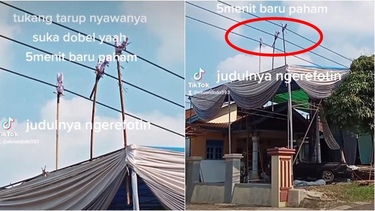 Viral Ulah Tukang Tenda Bikin Repot Petugas Listrik Ini Bikin Geleng Kepala