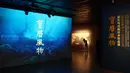 Seorang pengunjung menghadiri pameran bertajuk "Era Baoli: Harta Karun dari Koleksi Bangkai Kapal Tang" di Shanghai, China, pada 14 September 2020. Total 248 buah (kelompok) relik budaya dipertunjukkan dalam pameran yang akan berlangsung hingga 10 Januari 2021 itu. (Xinhua/Ren Long)