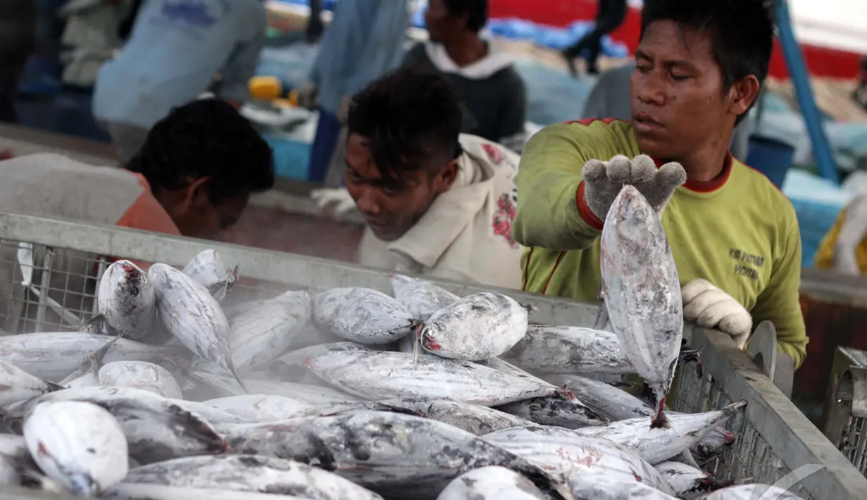 Menteri Kelautan dan Perikanan (KKP) Susi Pudjiastuti menargetkan tahun 2015 harga ikan tidak mahal lagi dan Industri perikanan Indonesia bisa mengekspor ikan ke luar negeri,  Jakarta, Minggu (11/1/2015). (Liputan6.com/Faizal Fanani)