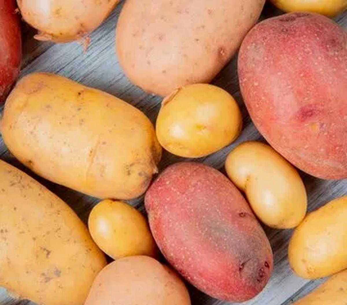 Bagaimana pengolahan keduanya dapat memengaruhi kandungan nutrisinya? Temukan jawabannya di sini!
