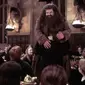Hagrid bersama Harry dan kawan-kawannnya di film&nbsp;Harry Potter and the Chamber of Secrets (2002).