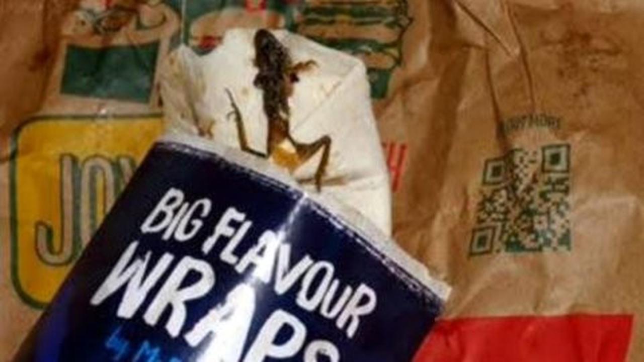 Gadis Inggris syok, kunyah roti McD berisi kodok mati