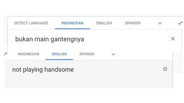 6 Terjemahan Google Translate dari Bahasa Indonesia ke Inggris Ini
