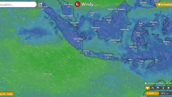 <p>Prediksi cuaca dan hujan dengan pergerakan angin citra satelit Windy. (Dok: Windy)</p>