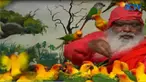 Selain Kakaktua, sebanyak 468 jenis Burung eksotis seperti Beo, Parkit dan Nuri juga menghuni Taman Burung ini.