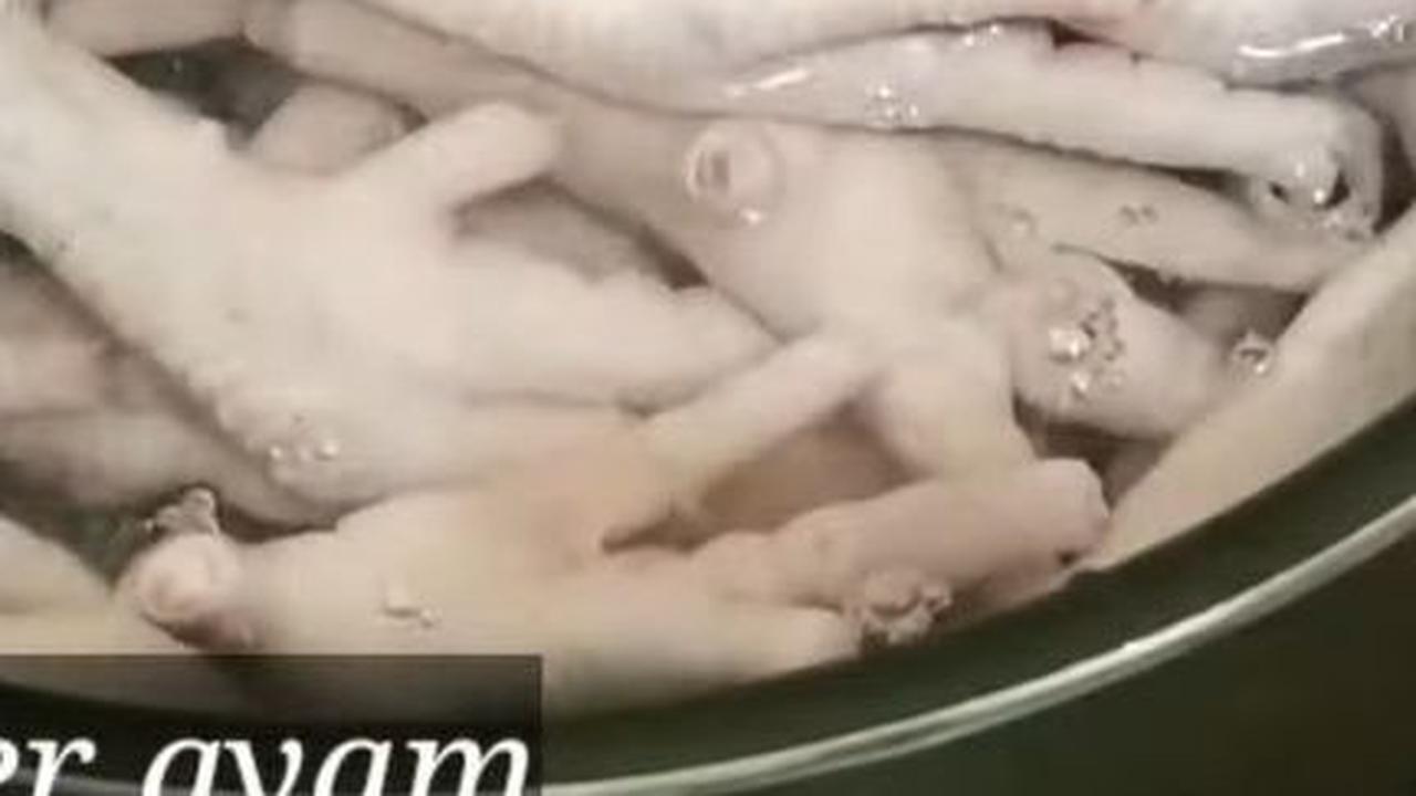 Masukkan Ceker ke dalam Rebusan