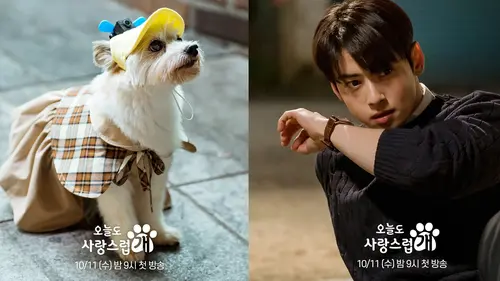 Astro's Cha Eun-Woo Kisses a Dog in A Good Day to Be a Dog K-Drama: 'Hard  to Focus' Astro's Cha Eun-Woo Kisses a Dog in A Good Day to Be a Dog  K-Drama: 'Hard to Focus
