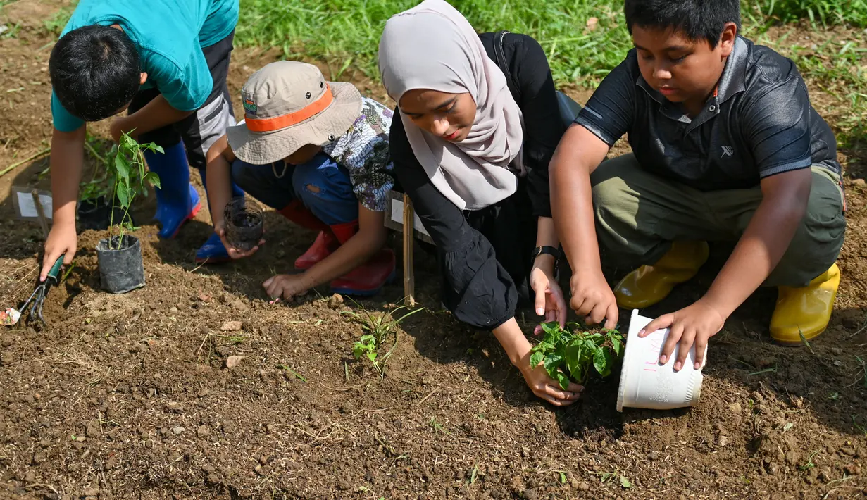 Hari Hutan Internasional diperingati bertujuan untuk menumbuhkan kesadaran publik tentang pentingnya keberadan semua jenis hutan dan pohon di luar hutan. (AFP/CHAIDEER MAHYUDDIN)