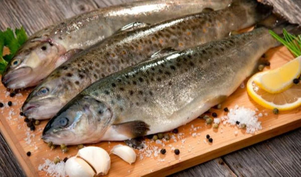Ikan yang Perlu Diwaspadai Mengandung Merkuri