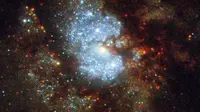 Galaksi tersembunyi tangkapan teleskop Hubble. (Foto: NASA)