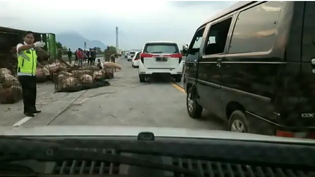 Ketika Babi-Babi Seru-seruan Masuk Tol Pasuruan