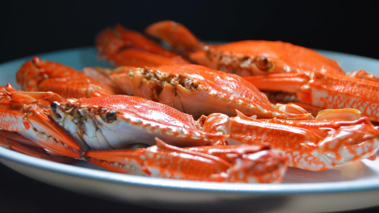Ilustrasi Kepiting
