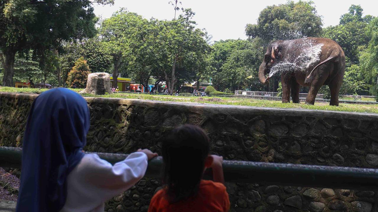 FOTO: Peringatan Maulid Nabi, Ragunan Diserbu Pengunjung