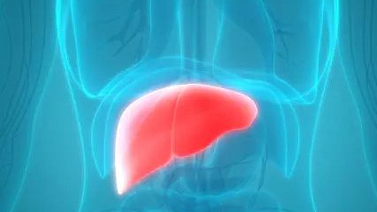 Sejumlah Tanda yang Dirasakan ketika Organ Hati atau Liver dalam Kondisi Sehat