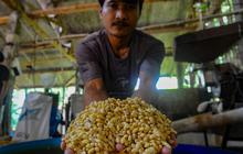 FOTO: Jerit Perajin Tahu Imbas Mahalnya Harga Kedelai di Tengah Kenaikan Dolar AS, Terpaksa Perkecil Ukuran