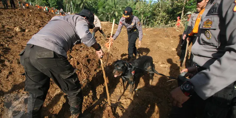 20160621-Pencarian Korban Tanah Longsor Purworejo Libatkan Anjing Pelacak-Jawa Tengah