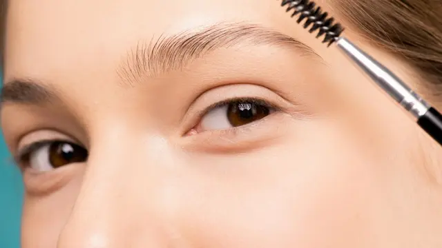 tutorial alis untuk pemula