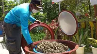 Rahmat, warga Palembang Sumsel sedang menjemur tanaman toga untuk dijadikan teh herbal, peningkat imun agar melawan wabah COVID-19 (Liputan6.com)
