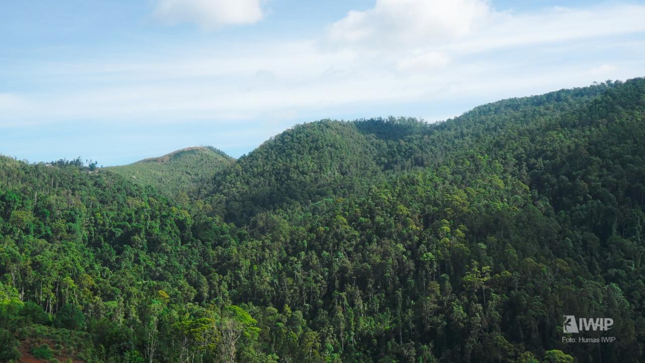 Weda Bay Nickel Tuntaskan Rehabilitasi DAS Seluas 4.140 Hektare di Maluku Utara