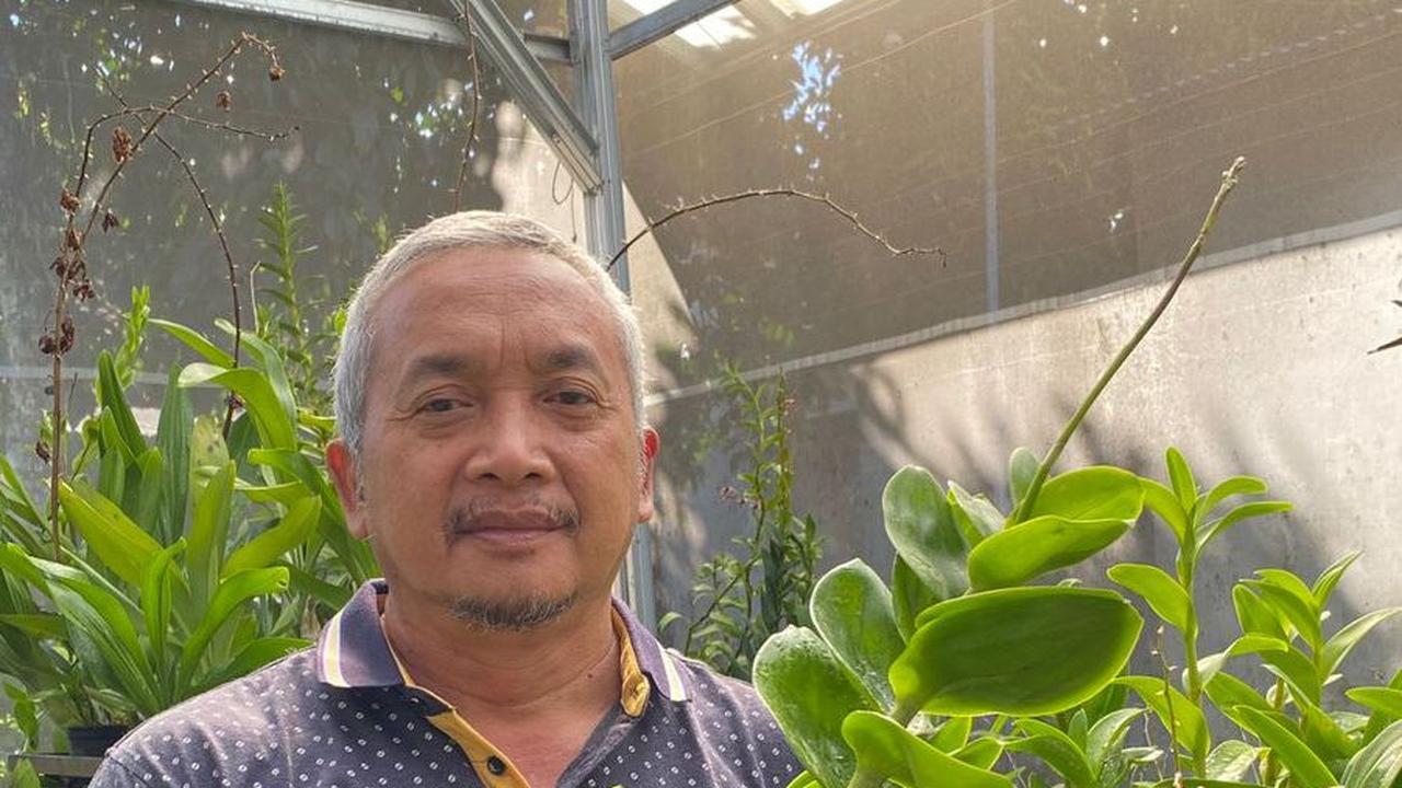 Berawal dari Hobi, Budidaya Anggrek Bikin Fathoni Kian Berseri