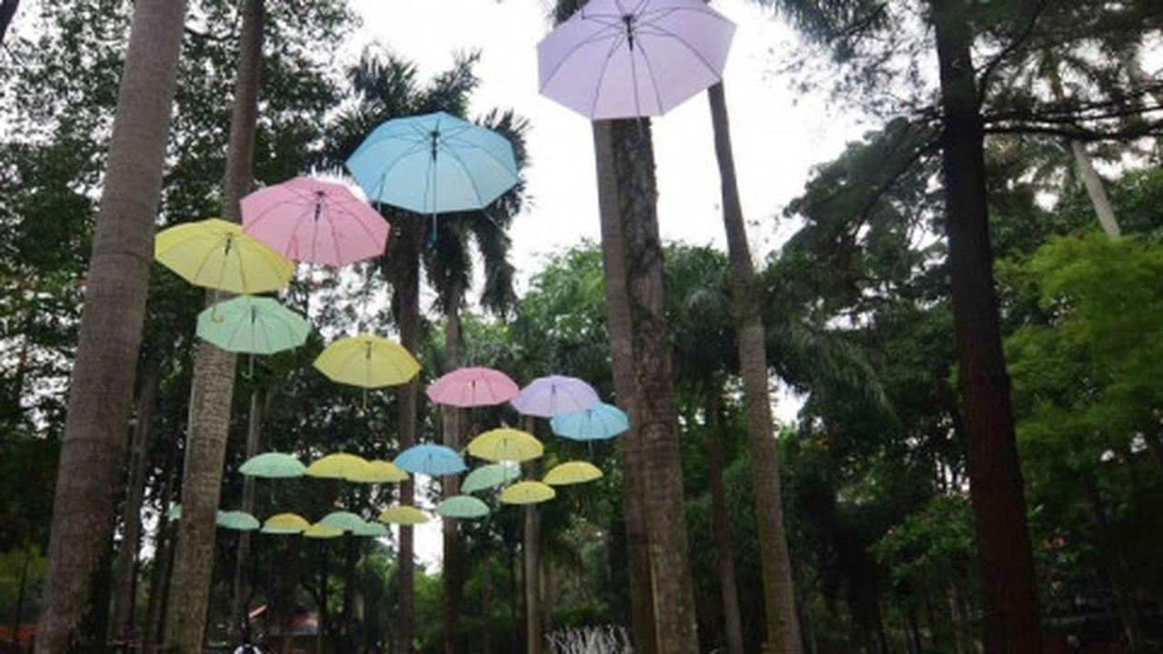 Taman hijau